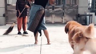 while showing love dance IIসোহাগ করে নাচ দেখাতে