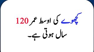 Most beautiful urdu Quotes 8