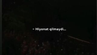 Instagram-video downlond