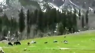 Upper areas of #kumratvalley Dir Upper