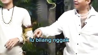 Desta nambah aib Reza Arab