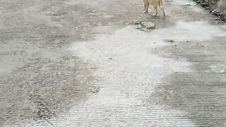 Don't leave me