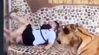 ???????? 95