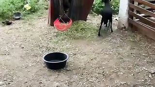 Приколи 89