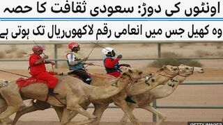 Camel race: Part of Saudi culture A sport in which prize money is up to millions of riyals