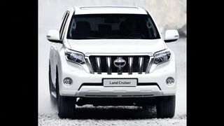 Beautiful white prado pics