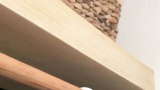 DIY floating shelf ????????