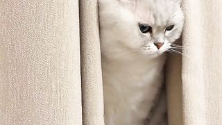 His like to make mistake