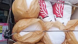 Load rickshaw https://youtube.com/@pakistanisairsapatee