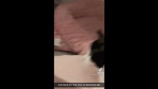 BEST CAT MEMES COMPILATION OF 2022 PART 3 2