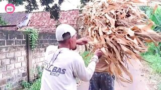 TRY NOT TO LAUGHING I Best Funny Videos Compilation 2023 # 347