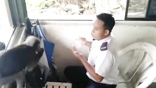 Monyet monyet