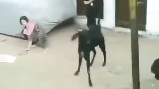 Funny video spot me bhai log 54