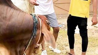 Most funny video must watch
