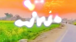 New tiktok Video