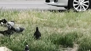 Уличная игра