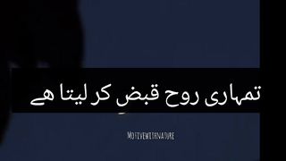Quran urdu translation ????