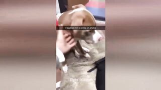 Hilarious 7