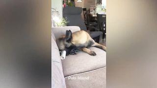 Hilarious 19