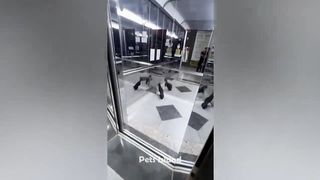 Hilarious 10