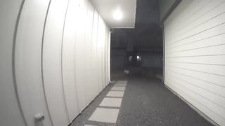 Hilarious 21