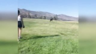 Hilarious 16