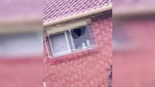 Hilarious 17
