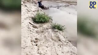 TRY NOT TO LAUGH WATCHING FUNNY FAILS VIDEOS 2023 !!!