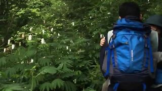 entered the dense forest with my son