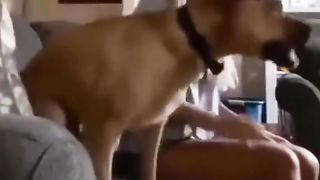 Приколи 97
