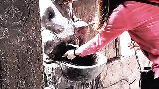 funny videos 27