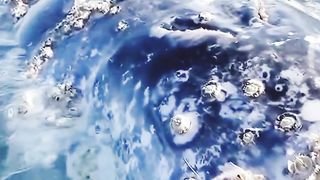 Mahluk laut terbesar