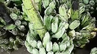 Banana 5