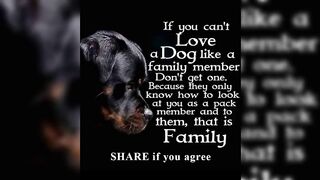 Don't get a dog if.....