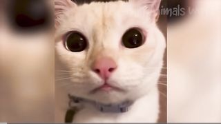 ???????????? 118