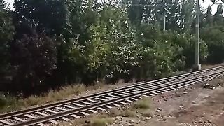 ЖЕЛЕЗНАЯ ДОРОГА В ДОМ