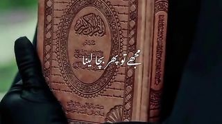 video ❣️❣️❣️❣️❣️