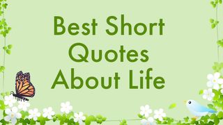 Best Short Quotes About Life / Motivational Daily Life Quotes and Sayings / Great Quotes About Life 2