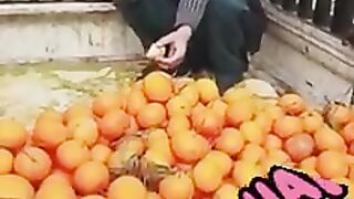 Meetha Malta