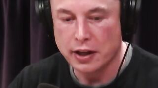 elon musk huge loss