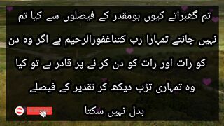 اللہ پاک نے جن لوگوں کو تمہاری زندگی سے نکال دیا ہے ان کی فکرنہ کرو اللہ وہ سب
