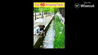 fact video top 10 fact video