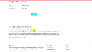 How To Use Tools For Google Index Checker