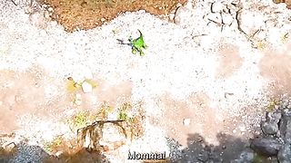 Dinosourse
