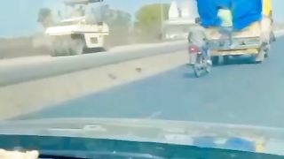 TRAINED THIEVES WENT VIRAL