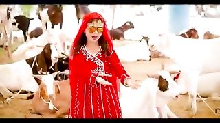 بکرا لاؤ