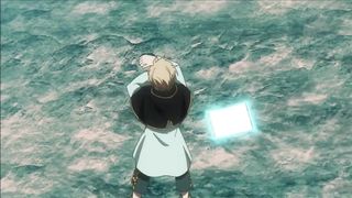 Taureau noir vs Vet