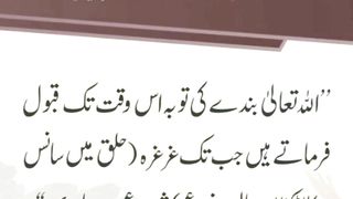 میری جَانب بھی ہو اِک نگاہِ کرم، اے شفیع الواریٰﷺ، خاتم الانبیاءﷺ 59