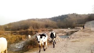 Harro River Attock