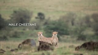Chasing the Rains Eps